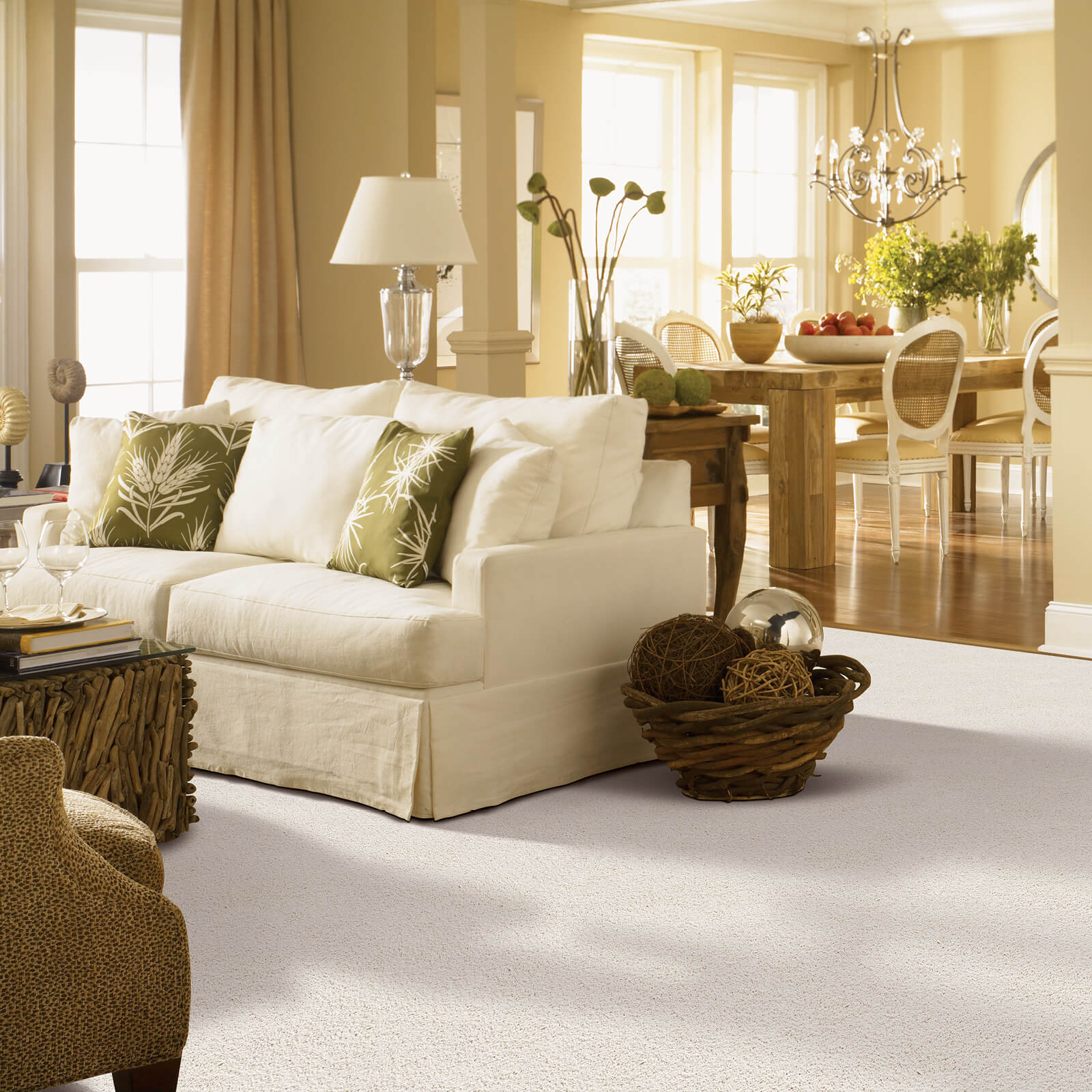 Gentle Approach of carpet | Sarmazian Brothers Flooring