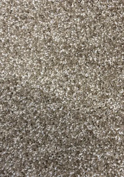 Beauileu Bistre Grey SP 4920 62359
