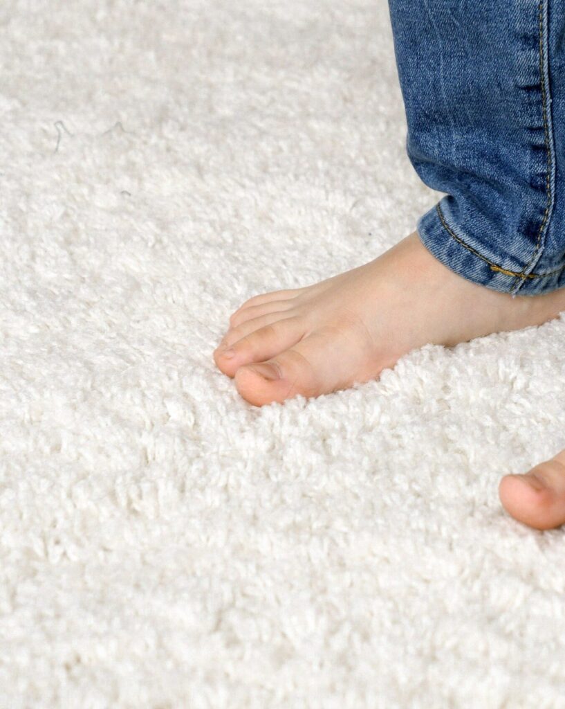 Carpet care & maintenance 