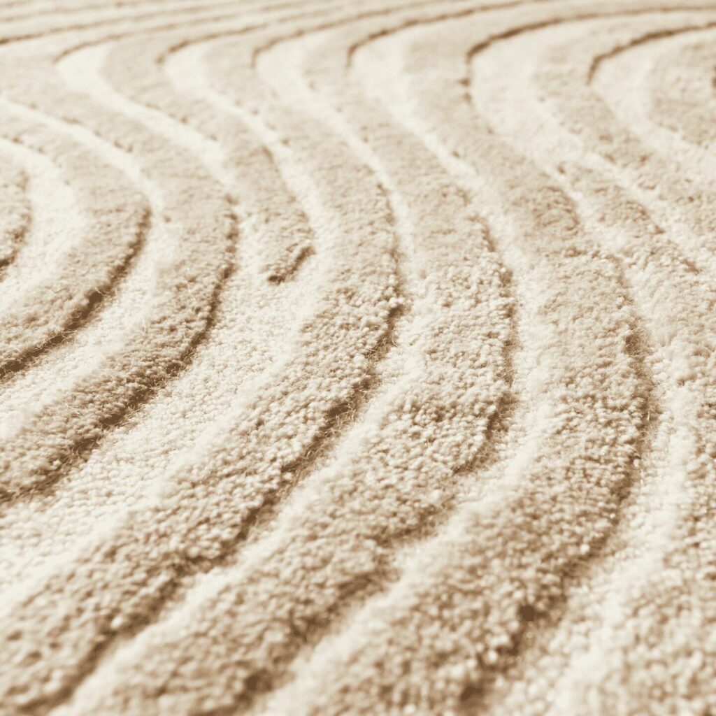 Textured carpet sample