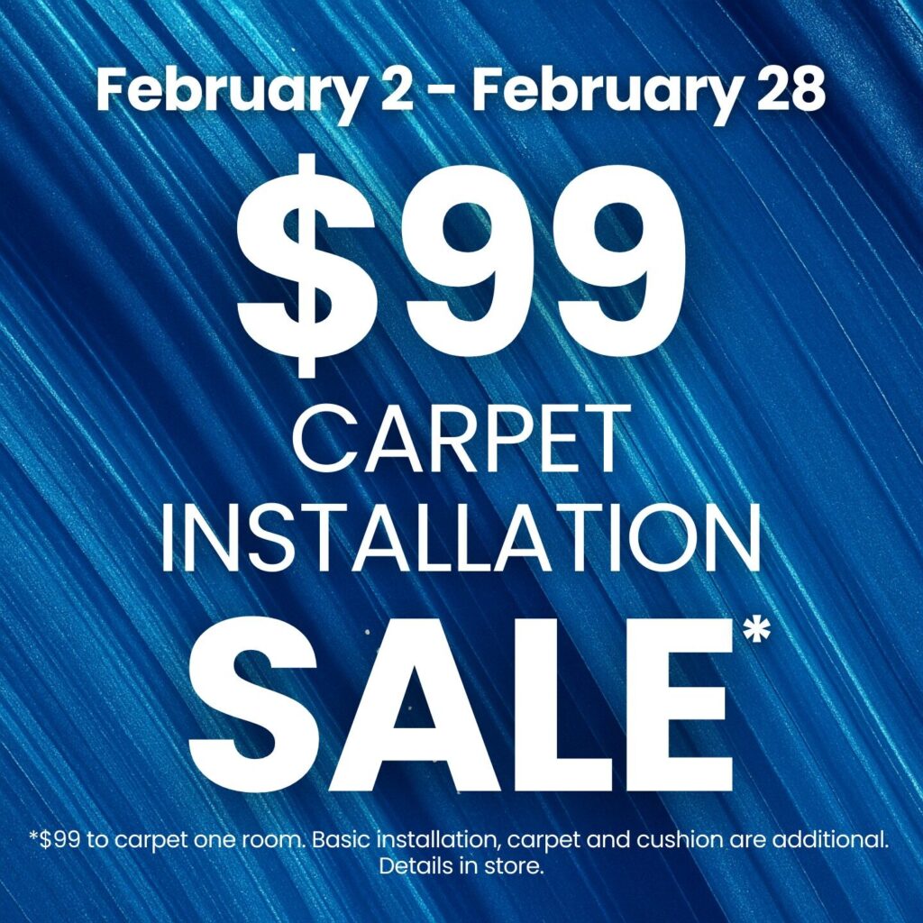 Carpet February promotion